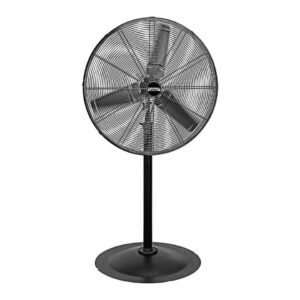 Pedestal Fan