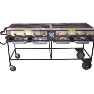 Propane Grill