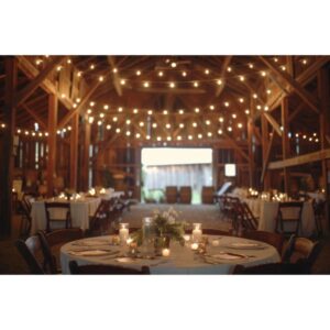 Market Lighting Setup