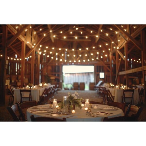 Market Lighting Setup - Image 3