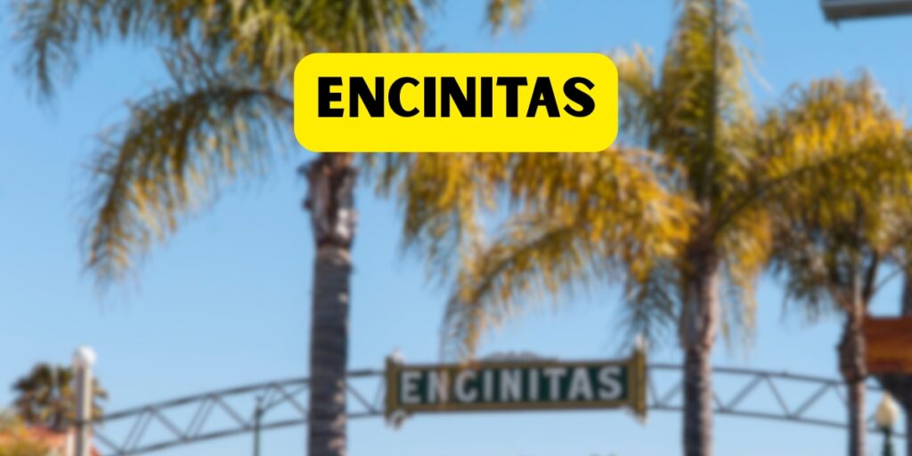 Encinitas party rentals and event supplies by Ara's Party Rentals North County San Diego