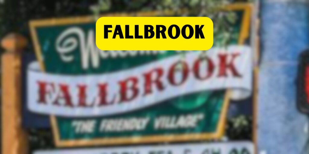 Fallbrook party rentals and event supplies by Ara's Party Rentals North County San Diego