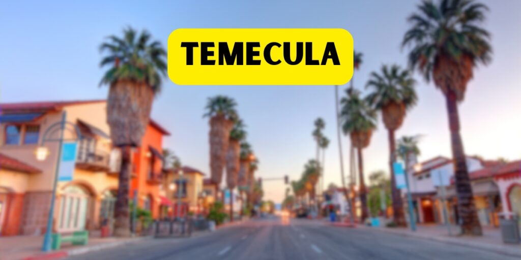 Temecula party rentals and event supplies by Ara's Party Rentals Southern California