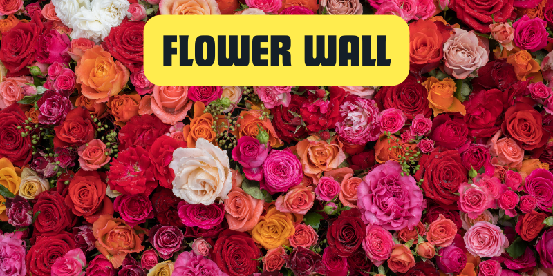 Flower Wall rentals in Carlsbad