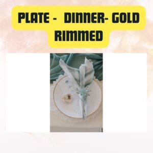 Plate Dinner Gold Rimmed | Elegant Modern Tableware 10.5″