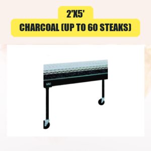 2’x5′ Charcoal (Up to...