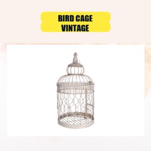 Bird Cage Vintage |...